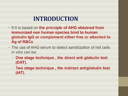 Image result for Indirect Coombs