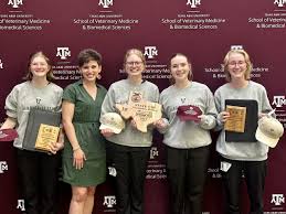 Leander ISD CTE Students Gain Leadership Skills and Medals at FFA State  Competitions