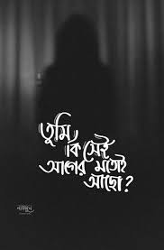 Pin On Bangla Typography