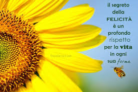 Frasi sulla vita belle ma corte in italiano, una raccolta di. Frasi Brevi Aforismi Brevi Frasi Belle Brevi Ad Effetto