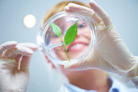 National association of environmental professionals: Ecology Vs Environmental Science Maryville Online