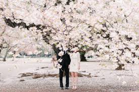 Cherry Blossom Engagement Photos In Tokyo By Romp Photography Tokyo Wedding Destination Wedding Japan Prewedding Photography