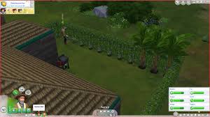 Drag fruits, vegetables, herbs, or flowers from your inventory to the ground or a gardening pot/planter box. Gardening The Sims 4 Wiki Guide Ign