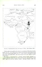 Image result for Anthospermum whyteanum