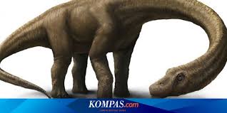 Jual mainan anak figure dinosaurus karet warna warni world dinosaur set isi 8 pcs. Inilah 3 Dinosaurus Terbesar Yang Pernah Menjelajah Bumi Halaman All Kompas Com