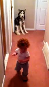 Baby Runs To Dog In Fear Of A Vacuum 2020 Komik Hayvan Komik Hayvan Videolari Komik Hayvan Fotograflari