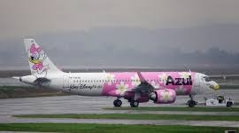 Image result for Azul 1995 Fleet