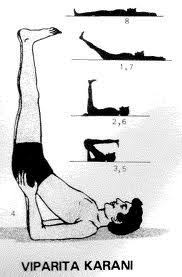 Pin On Stretch