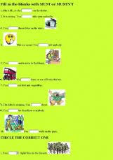 They are special because they behave differently from other verbs in english: English Exercises Modal Verbs