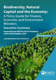 He is the president of generate capital and a board member of the carbon war . Executive Summary Oecd G7 Report Biodiversity Natural Capital And The Economy By Oecd Issuu