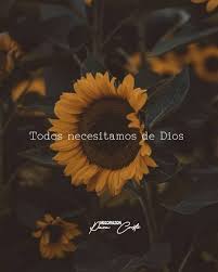 3 306 Me Gusta 29 Comentarios Micorazonpara Cristo En Instagram Frutod Frases De Oracion Dios Hablame Frases Cristianas