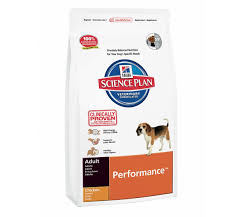 Pin On Online Pet Shop