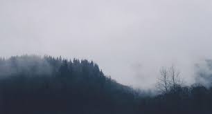 Soal uts pengantar manajemen semester 1 bsi. Uts Pengantar Manajemen Cp 1 Eranio Adam