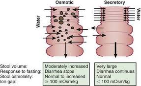 Image result for Chronic Diarrhea