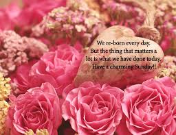Maybe you would like to learn more about one of these? 326 Massive Collection Of Good Morning Quotes Sunday