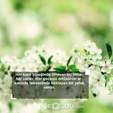 Sizler için hazırlanan çiçek sözleri ile sevdiklerinize en güzel anlarınızı unutulmaz kılabilirsiniz. Bahar Sozleri Anlamli Ilkbahar Sozleri Bahar Ile Ilgili Guzel Sozler