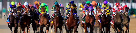 Our 147th kentucky derby betting guide includes some crucial information about one of the most famous horse races in the world, the kentucky derby, which will take place on saturday, may 1, 2021. Hotels Near Kentucky Derby Premier Choice The Brown Hotel