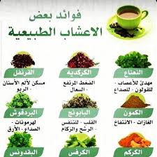 فوائد الأعشاب الطبيعية فائدة فوائد عشبة اعشاب طب نباتات زراعة طبيعة مفيدة شاي نعنع يانسون زعتر بابونج جميلة صحة Food Green Beans Blog