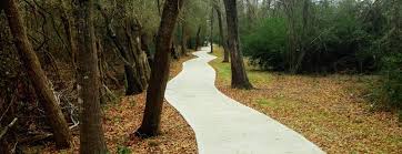 Concrete is a composite material composed of fine and coarse aggregate bonded together with a fluid cement (cement paste) that hardens (cures) over time. Dg Medina Construction Making The Future Concrete