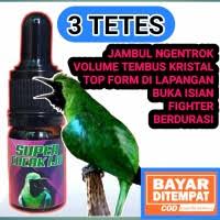 Youtube mp3, stafaband, gudang lagu, metrolagu deskripsi : Jual Vitamin Cucak Ijo Terlengkap Terbaik Harga Murah July 2021