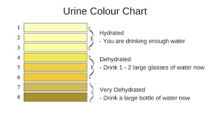 Urine Colour Chart 1 The Biting Truth