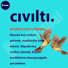 instagram da ruyahal ruya tabirleri ruyada civilti gormek ruyada kus civiltisi gormek mutlulukla tabir olunur ruyada kus civiltisi isitmek kis in 2021