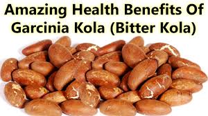 Check spelling or type a new query. Bitter Kola Garcinia Kola Apf Supply Enterprise Ecplaza Net