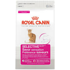 Pin On Cat Food
