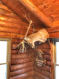 We were a little skeptical at first of how this whole pack out mount would  turn out.... but wow does it look awsome! Ive got a feeling ill be doing  alot more