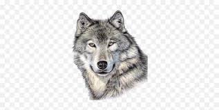 Maybe you would like to learn more about one of these? Wolf Png Realistic Wolf Face Drawing Wolves Png Free Transparent Png Images Pngaaa Com
