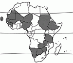 Image result for Aristida stipoides