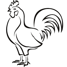 Chicken Outline Drawing Bird Outline Outline Drawings Chicken Drawing