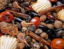 Check spelling or type a new query. Frutti Di Mare Cosa Sono E Quali Tipologie Esistono