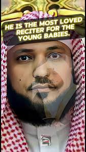 Mahir Osmanović Collapse