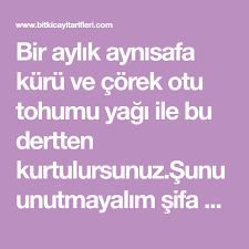 Bir Aylik Aynisafa Kuru Ve Corek Otu Tohumu Yagi Ile Bu Dertten Kurtulursunuz Sunu Unutmayalim Sifa Allah Tandir Kurler Vesile Ve Dogru Sekil Otlar Tohum Bitki