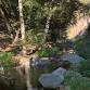 LA Biotech Hikes: Sturtevant Falls Adventure at... event in Arcadia, CA