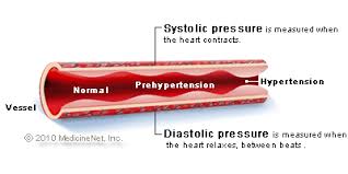 The blood pressure fluctuates between the diastolic (dp) and the systolic pressure (sp) but it is the mean arterial blood pressure (map) that is used when considering blood flow. How To Reduce High Blood Pressure Foods Remedies Drugs