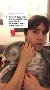 Alice in Wonderland Cats Names