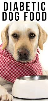 This is particularly important in the case of the diabetic dog as chronic diabetes may compromise immune functioning and make your pet prone to opportunistic illnesses. Diabetic Dog Food Top Choices For Dogs With Diabetes
