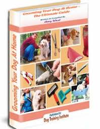 The problem with this is the dog interprets the attention as the human agreeing with the unbalanced behavior itself. 120 How To Train Your Jack Russell Ideas Your Dog Jack Russell How To Train Your