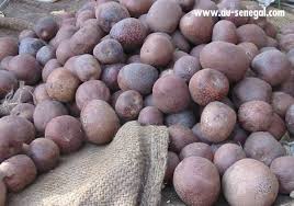 Les Fruits Du Senegal Fruit Africain Fruits Fruit