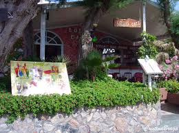 Rosinha de sol, ou aptenia, é uma linda planta rasteira e suculenta! Rosinha De Sol Aptenia Cordifolia Flores E Folhagens