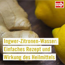 Ingwer Zitronen Wasser Einfaches Rezept Und Wirkung Des Heilmittels Utopia De Ingwer Zitrone Gesunde Getranke Rezepte Alkohol Getranke Rezepte