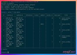 认识神级MCP工具系列--用anyquery和数据库交互| 二丫讲梵