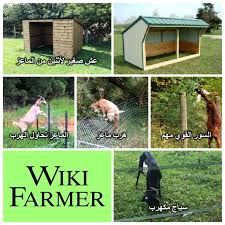 مأوى الماعز بناء مزرعة الماعز Wikifarmer Goats Farmer Goat Farming