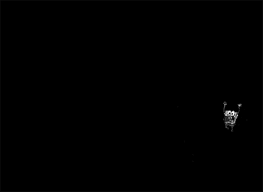 All of the spongebob wallpapers bellow have a minimum hd resolution (or 1920x1080 for the tech guys) and are easily downloadable by clicking the image and saving it. Image 420271 Spongebob Squarepants Know Your Meme