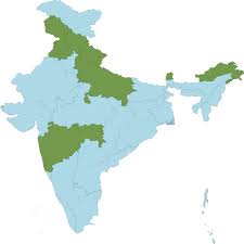 Image result for Acrachne