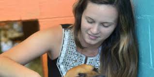 Awareness urged after two dogs die in Savannah-area heat