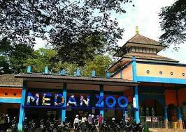 Harga tiket masuk singapore zoo 13 Potret Terkini Kebun Binatang Medan Biaya Masuk Koleksi Dan Lokasi Pariwisata Sumut