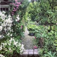 Lieblingspflanzen In 2020 Pflanzen Garten Cottage Garten